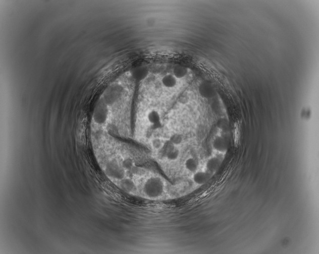 X0000097891059200804111013