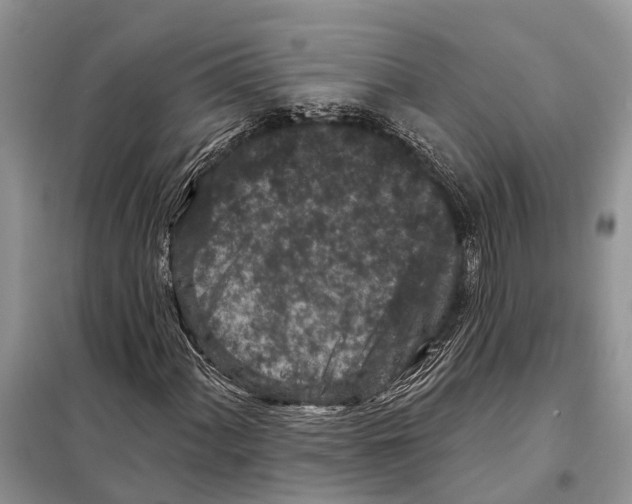 X0000097891060200804111012