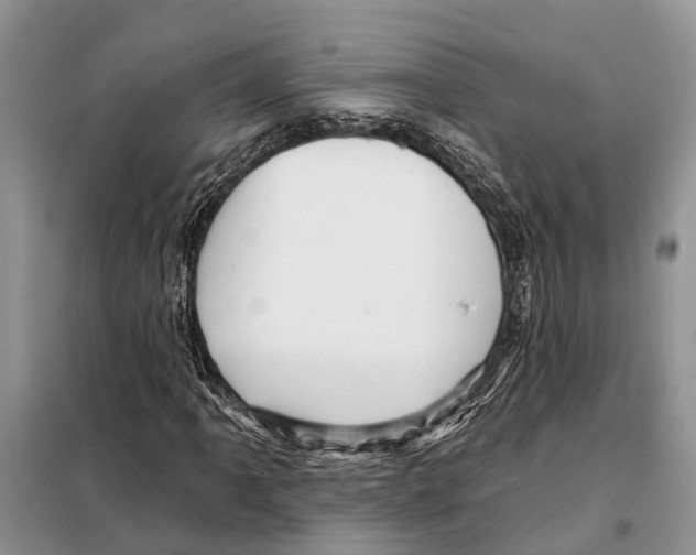 X0000097891061200804111012