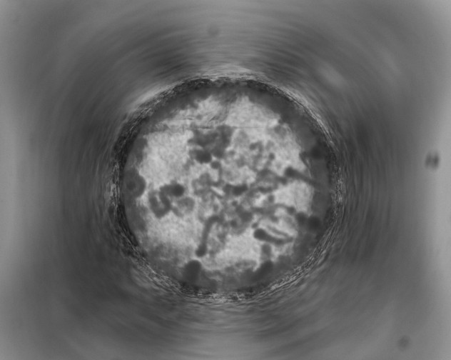 X0000097891063200804111012