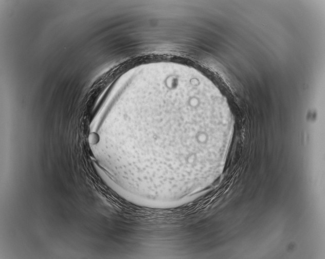 X0000097891064200804111012