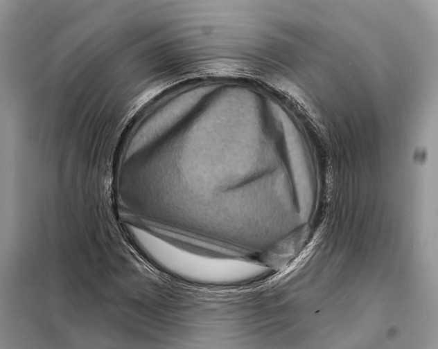 X0000097891065200804111012