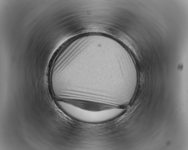 X0000097891068200804111012