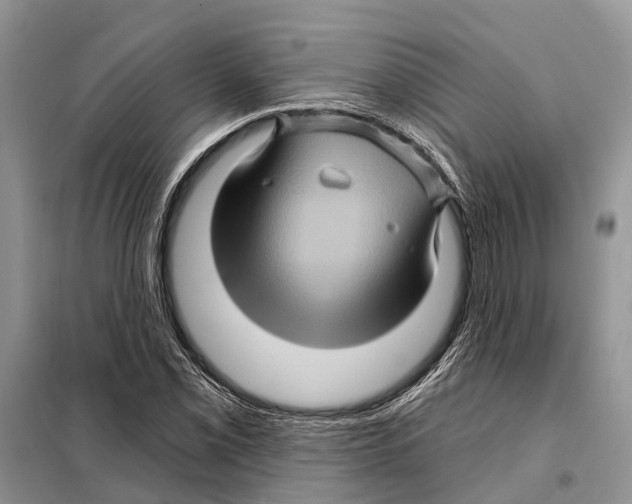 X0000097891069200804111012