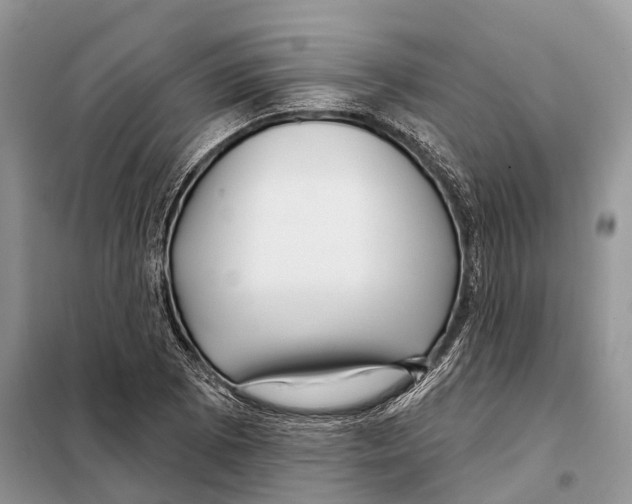 X0000097891073200804111012