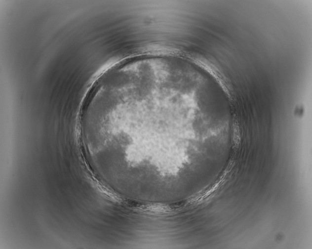 X0000097891074200804111012