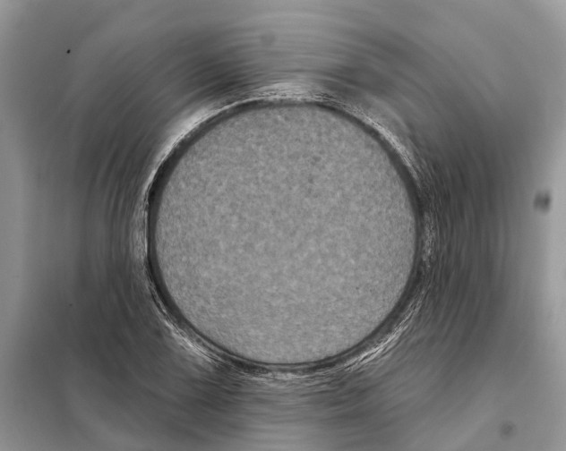 X0000097891075200804111012