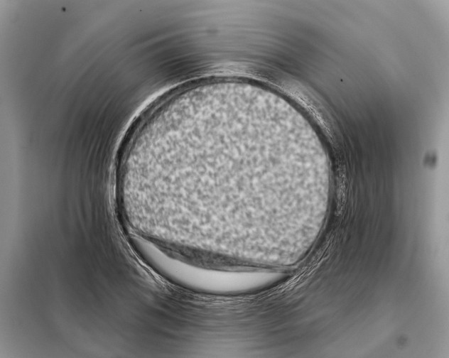 X0000097891076200804111012