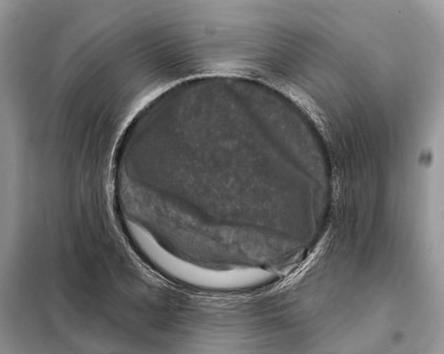 X0000097891077200804111012