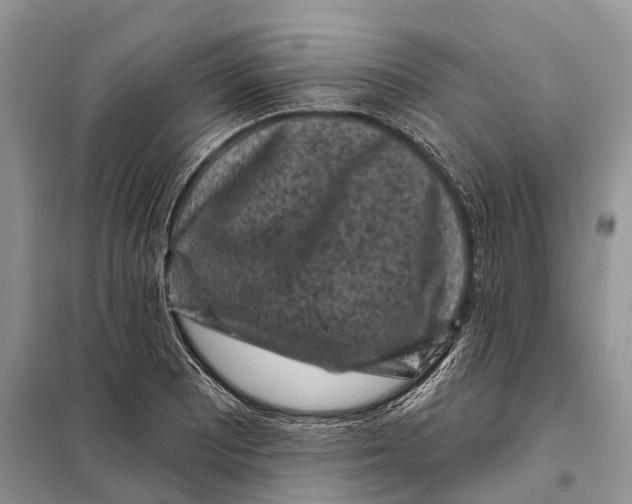 X0000097891081200804111012