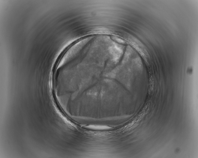 X0000097891084200804111012