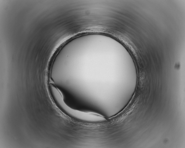 X0000097891085200804111012