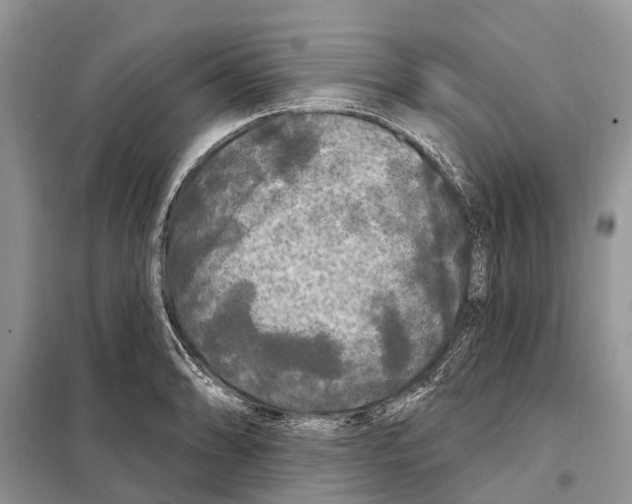 X0000097891086200804111012