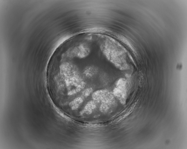 X0000097891087200804111012