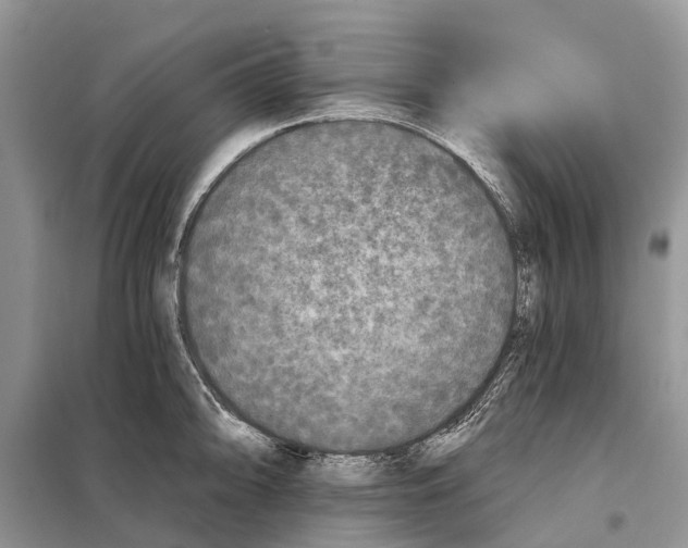 X0000097891094200804111012