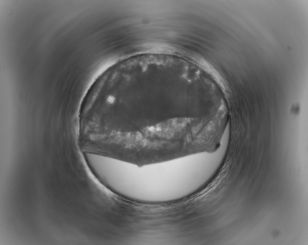 X0000097891095200804111012