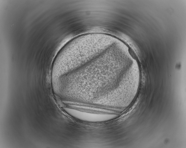 X0000097891097200804111012