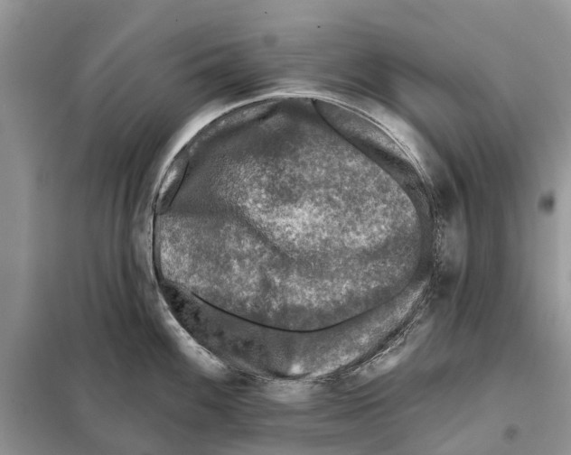 X0000097891100200804111012