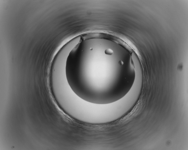 X0000097891101200804111012