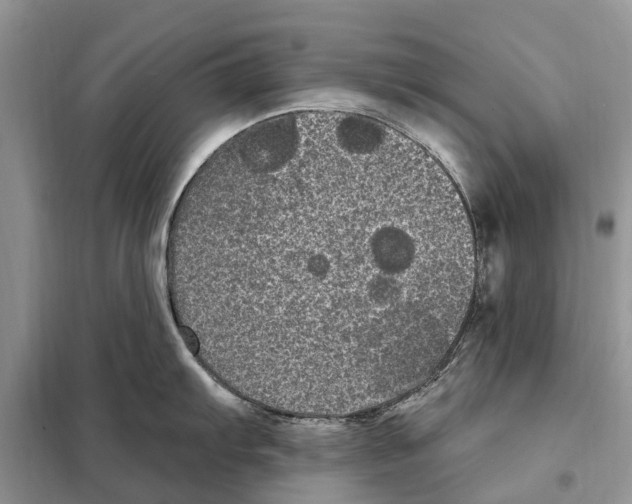 X0000097891103200804111012