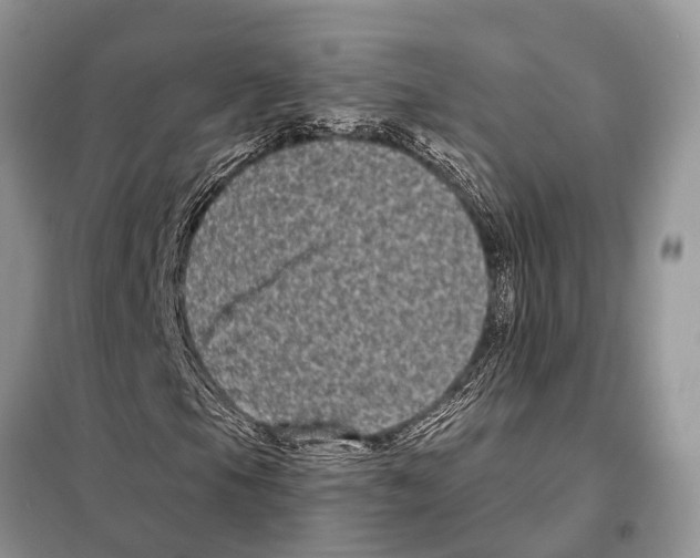 X0000097891105200804111011