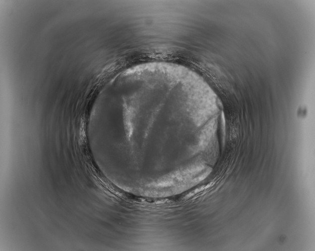 X0000097891106200804111011