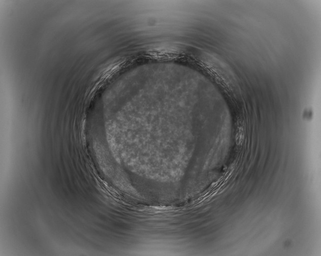 X0000097891108200804111011