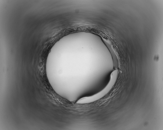 X0000097891109200804111011