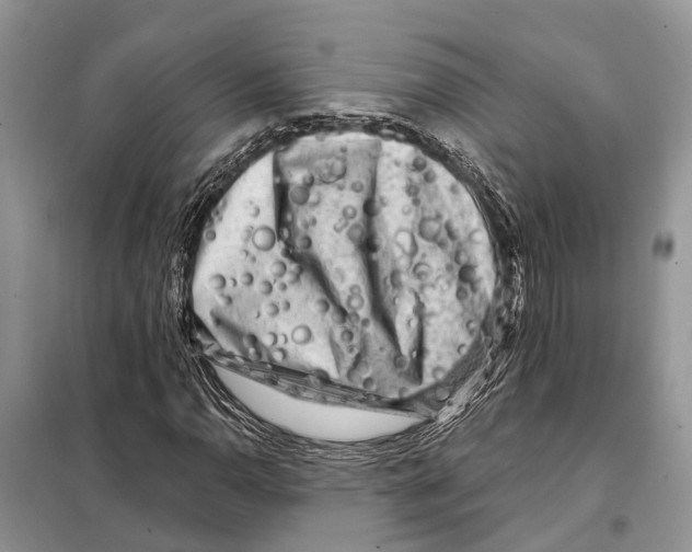 X0000097891110200804111011