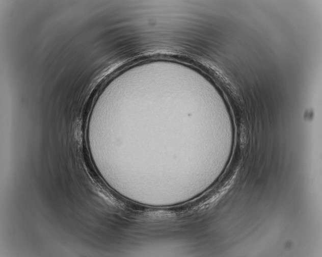 X0000097891113200804111011