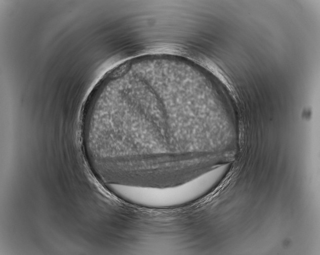 X0000097891116200804111011