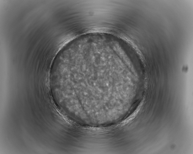 X0000097891121200804111011