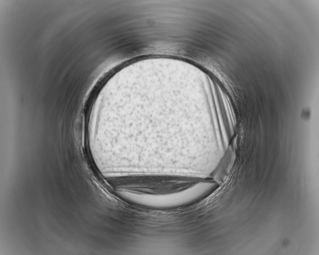 X0000097891123200804111011