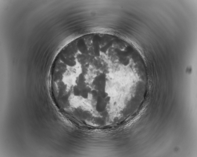 X0000097891125200804111011