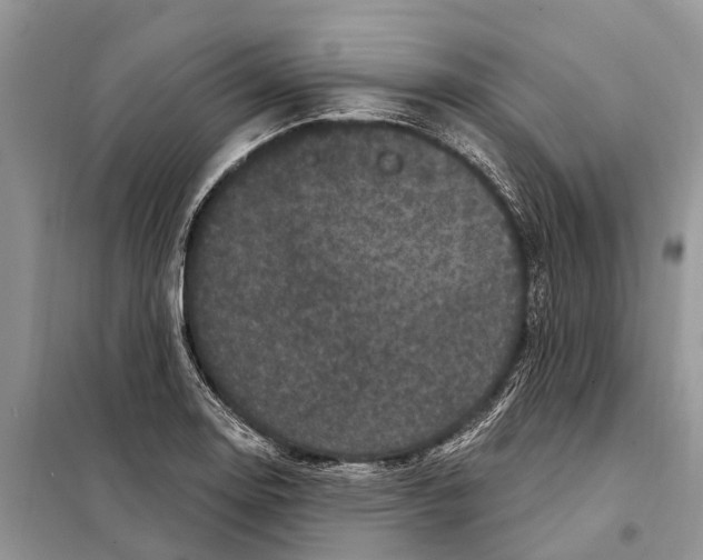 X0000097891130200804111011