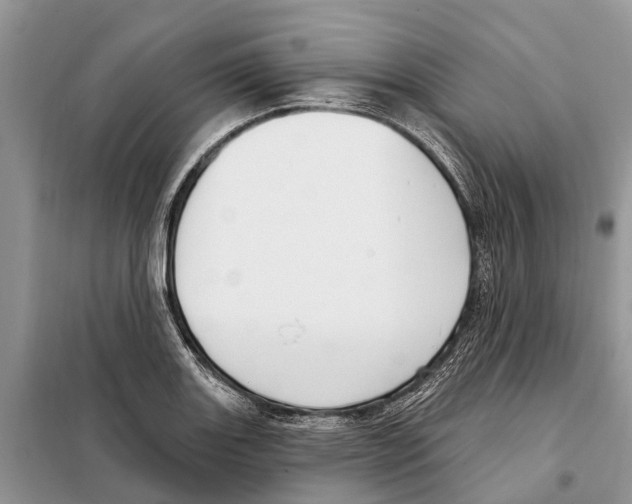 X0000097891131200804111011