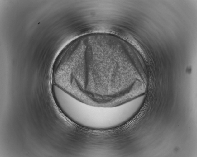 X0000097891132200804111011