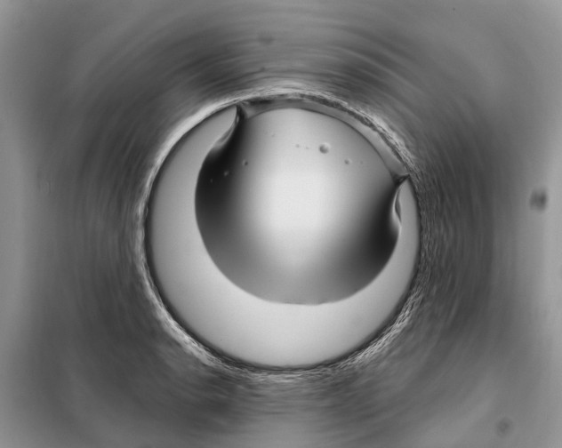 X0000097891134200804111011