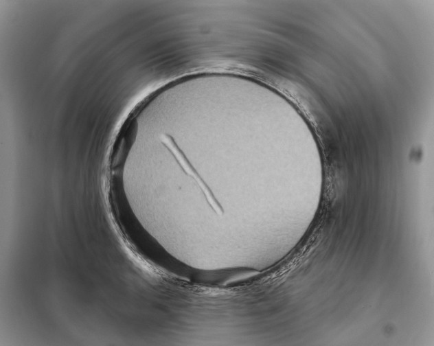 X0000097891136200804111011