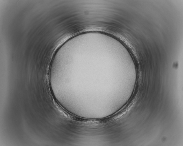 X0000097891137200804111011