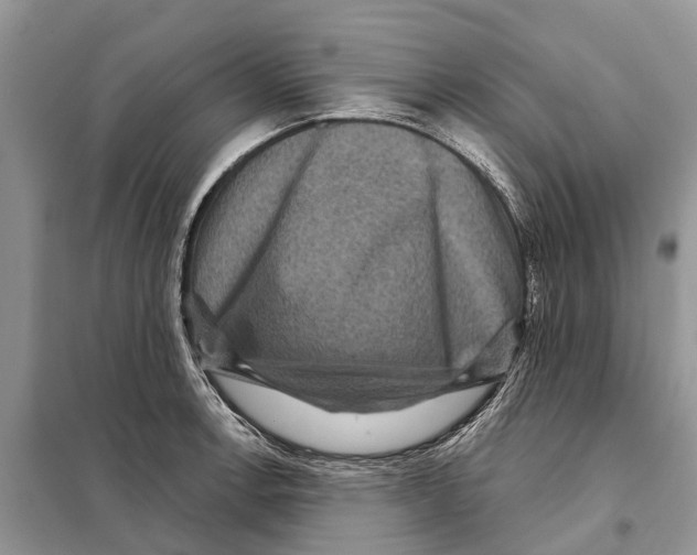 X0000097891138200804111011