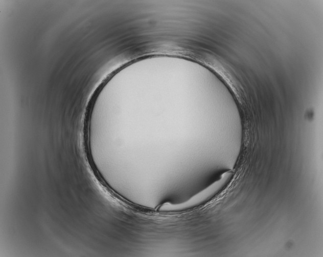 X0000097891139200804111011