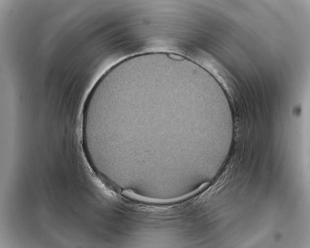 X0000097891140200804111011