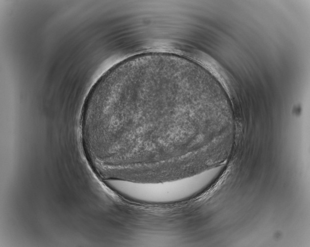 X0000097891141200804111011