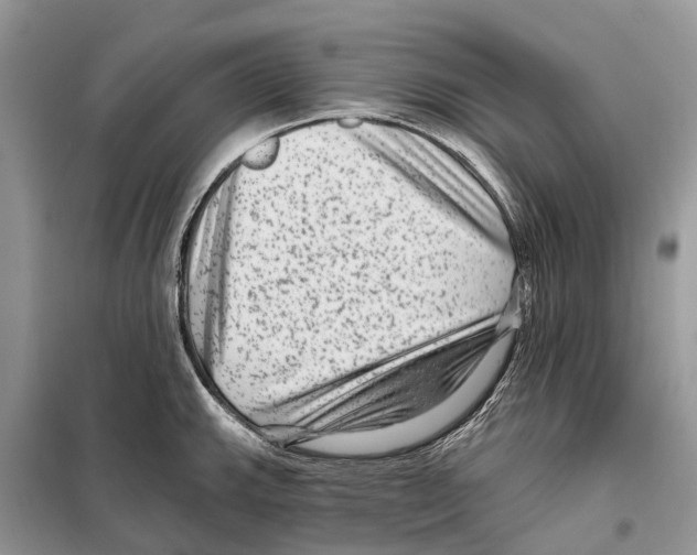 X0000097891143200804111011