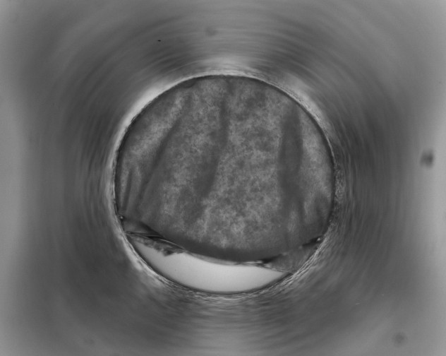 X0000097891144200804111011