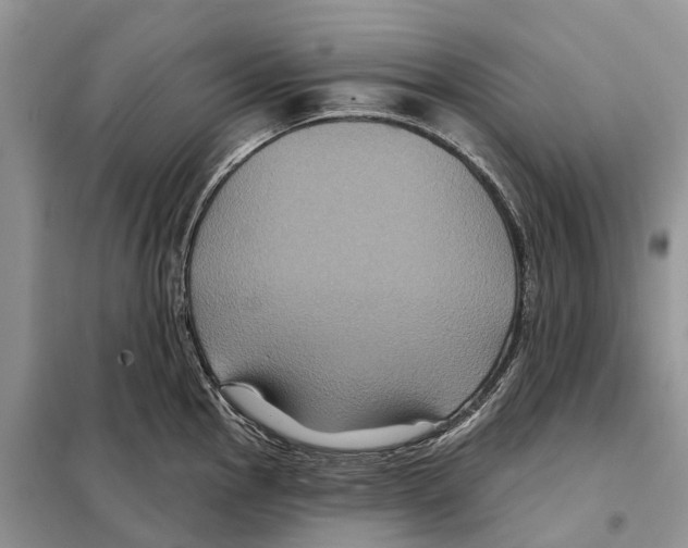 X0000097891145200804111011