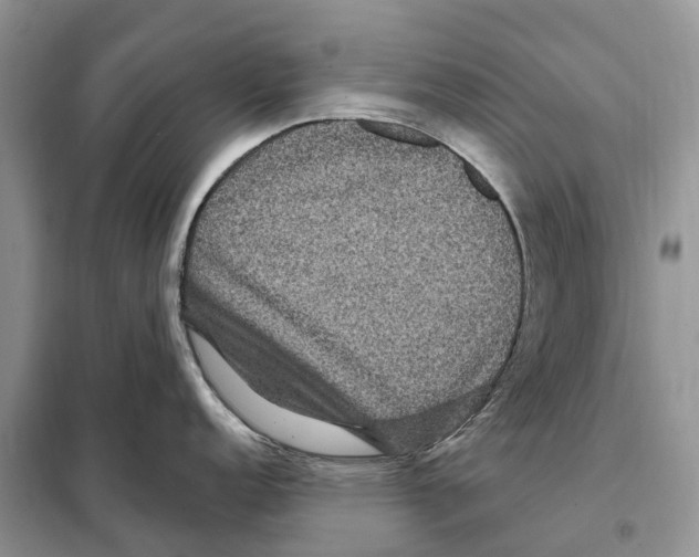 X0000097891152200804111012