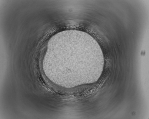 X0000097891153200804111011