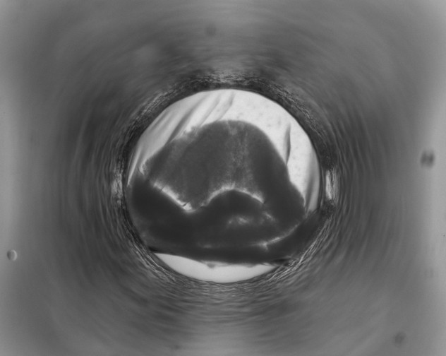 X0000097891155200804111011